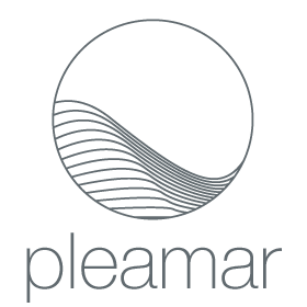 Pleamar