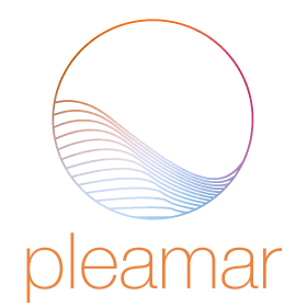 Pleamar