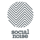 Social Noise