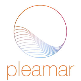 Pleamar