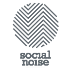 Social Noise